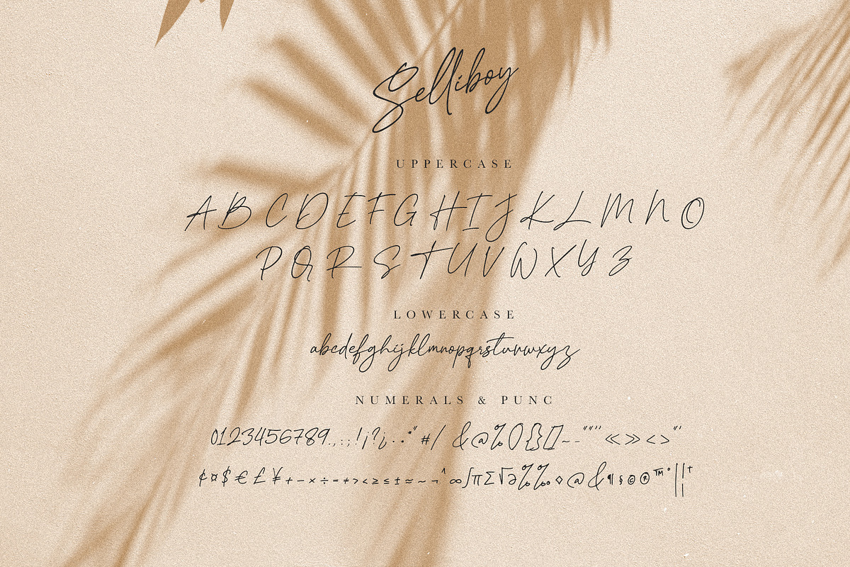 Selliboy, a Script Font by ARSAVISUAL (Photo 12 of 13)