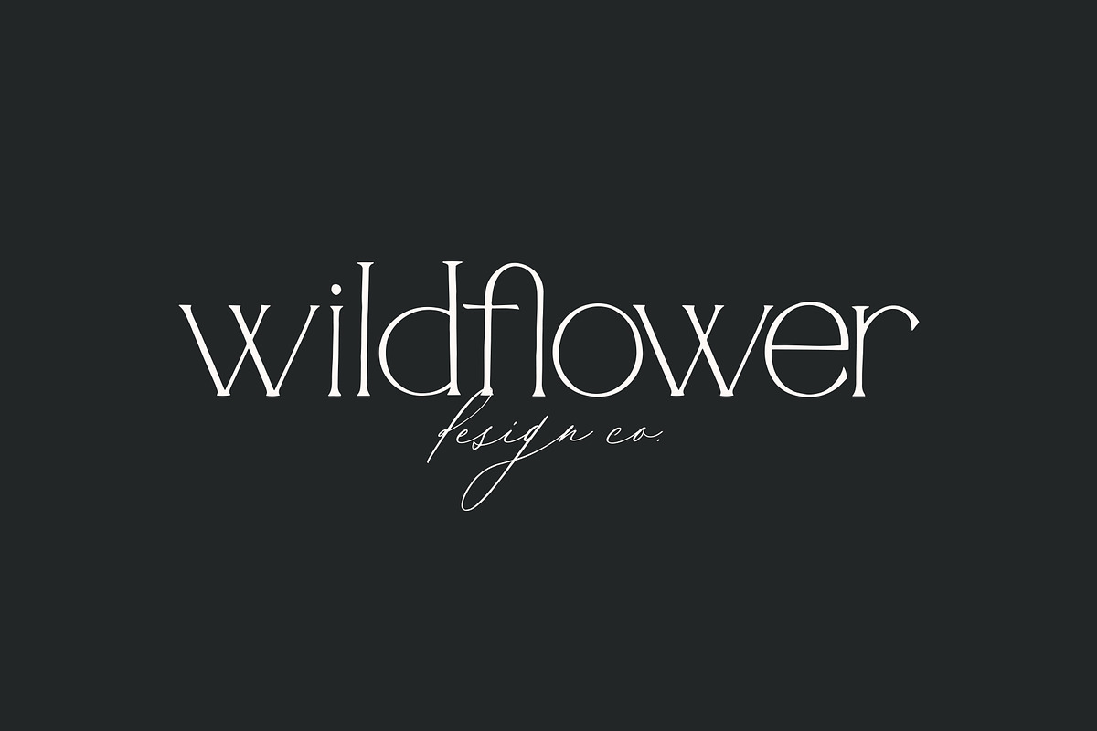 Rosemarie Dainty Serif, a Serif Font by Rachel Kick (Photo 5 of 12)