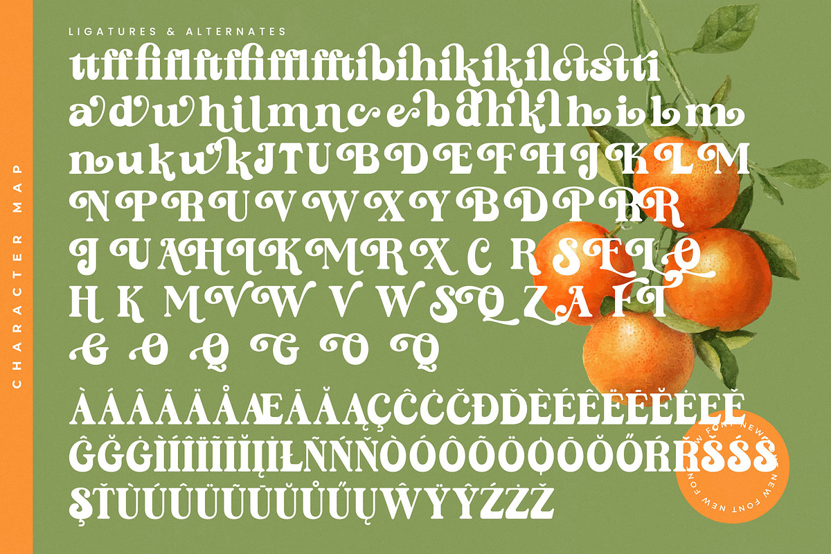 Sunday Ginger Vintage Serif, a Serif Font by timelesstype.co (Photo 19 of 20)