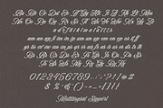 Bella Elegante - Calligraphy Font, a Script Font by Subectype Studio (Thumbnail 9 of 10)