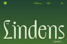 CS Lindens Drawn