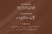 Sellaheby, a Script Font by Integritype Studio (Thumbnail 8 of 15)