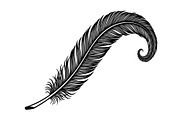 Vintage Feather Swirl SVG Bundle, an Illustration by Creativeshirt (Thumbnail 13 of 31)