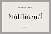 Gallies Ligature Serif Typeface, a Serif Font by Humaira_std (Thumbnail 8 of 9)
