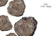 Black Truffle Watercolor Clipart, a Food Illustration by NKTKNS (Thumbnail 5 of 6)