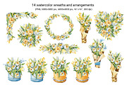 Spring tulips and mimosa, watercolor, an Illustration by Artmanata (Thumbnail 3 of 12)