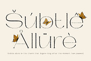Rengard Rough, a Serif Font by Craft Supply Co. (Thumbnail 5 of 8)