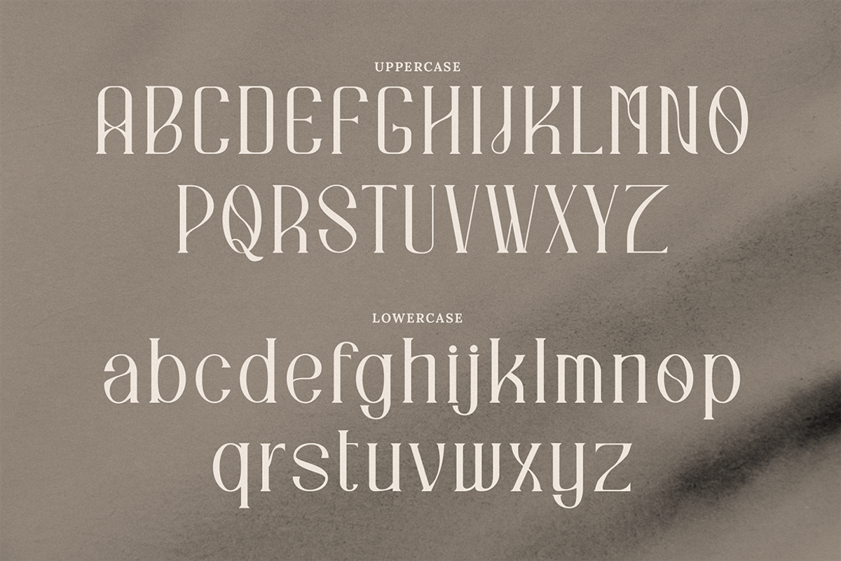 Quadrangle Stylish Serif, a Serif Font by Creatype Studio (Photo 8 of 10)