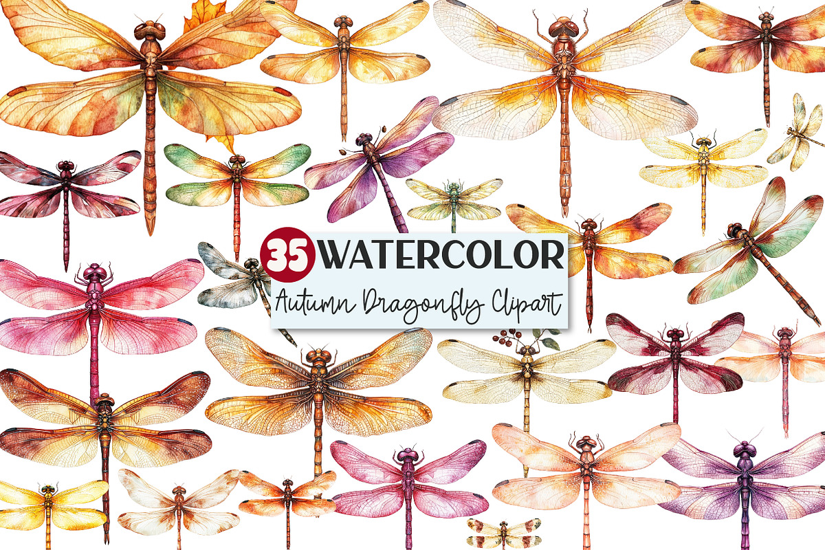 Autumn Dragonfly Clipart, an Illustration by Rose Art (Photo 1 of 7)