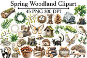 Spring Woodland Clipart, an Illustration by Design Market (Thumbnail 1 of 5)