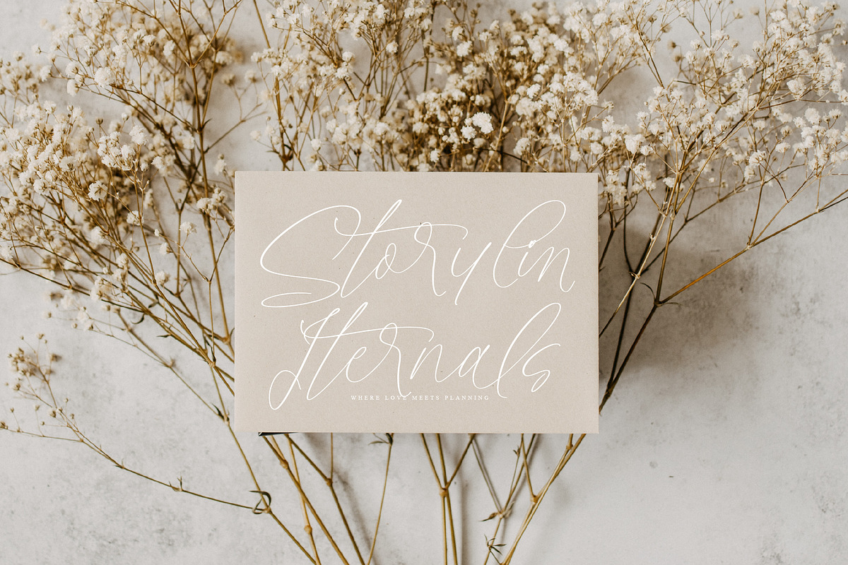 Styelad Initials, a Handwritten Font by operatype.co (Photo 11 of 15)