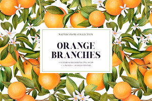 Orange Branches. Watrecolor PNG