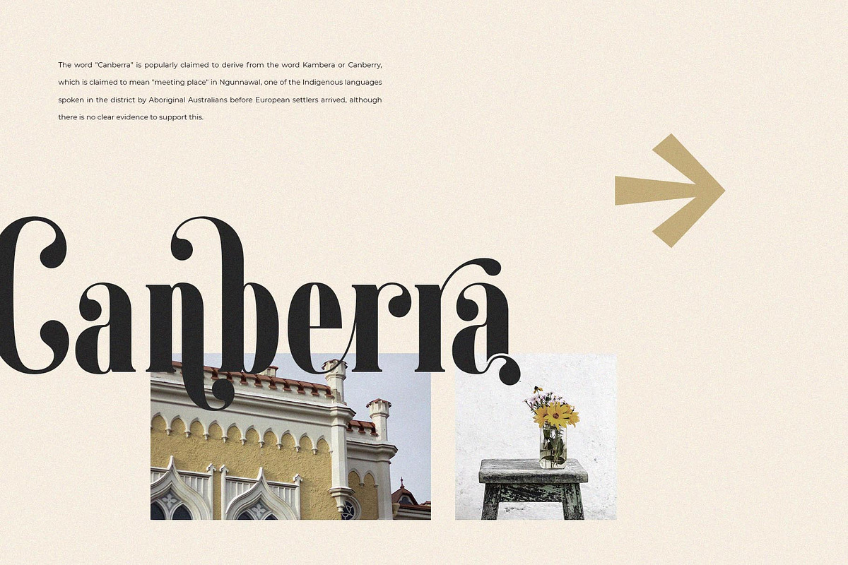 Gailanie // Stylish Ligature Font, a Serif Font by epicatype (Photo 4 of 10)