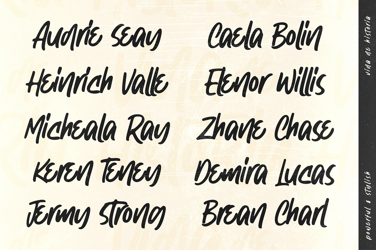 Vida de Historia - Stylish Typeface, a Font by Garisman Std (Photo 5 of 9)