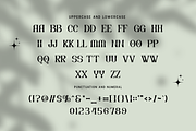 Drivzen - Modern Serif Typeface, a Serif Font by overlaytemplates (Thumbnail 4 of 5)