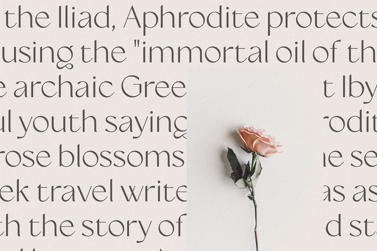 Siena Typeface, a Sans Serif Font by Ivan Rosenberg (Photo 9 of 16)