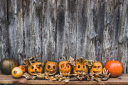 autumn pumpkins for halloween banner, a Background Graphic by VetalStock (Thumbnail 1 of 3)