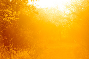 Sunset Background, a Background Photo by THP Creative