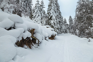 Frozen winter scenery and snowy road, a Nature Photo by Alpine Dreams