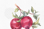 Watercolor pomegranate branch, an Object Illustration by Tilling (Thumbnail 2 of 3)