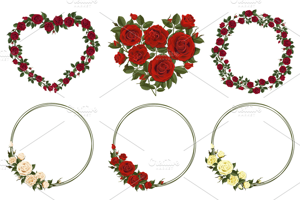 Set of white and red vector roses, an Illustration by belander (Photo 5 of 10)