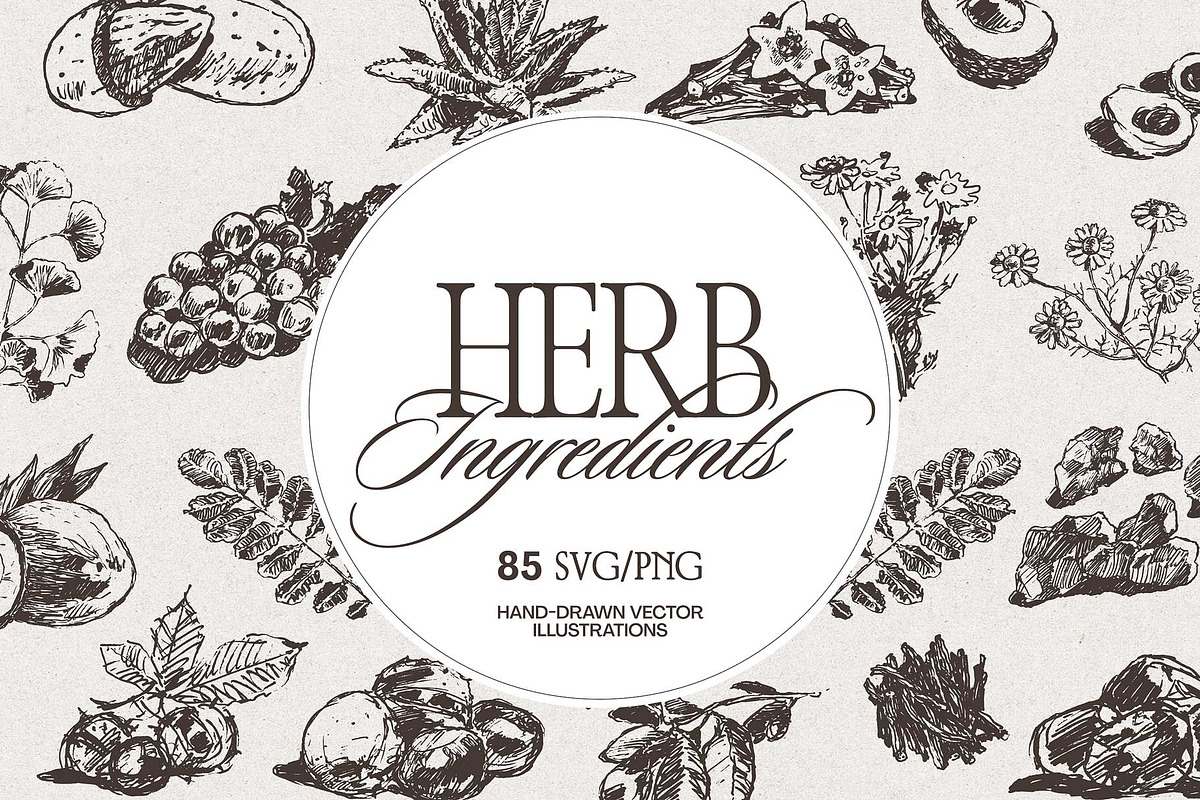 Botanical Herb Ingredients, a Healthcare Illustration by TheMountBirdStudio (Photo 1 of 10)