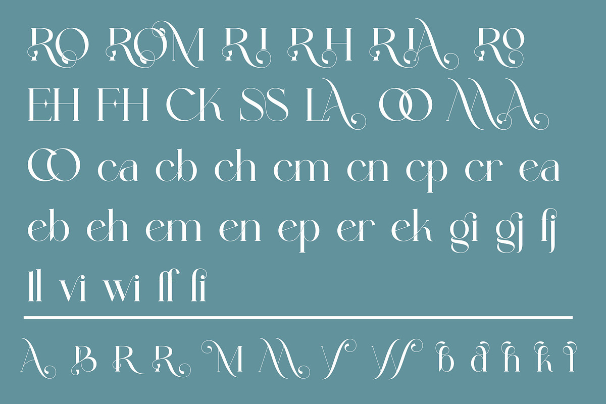 Megina Elegant Serif Typeface, a Serif Font by Alfinart (Photo 9 of 10)