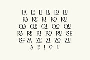 Praise Elegant Stylish Font, a Serif Font by Typebae (Thumbnail 2 of 12)