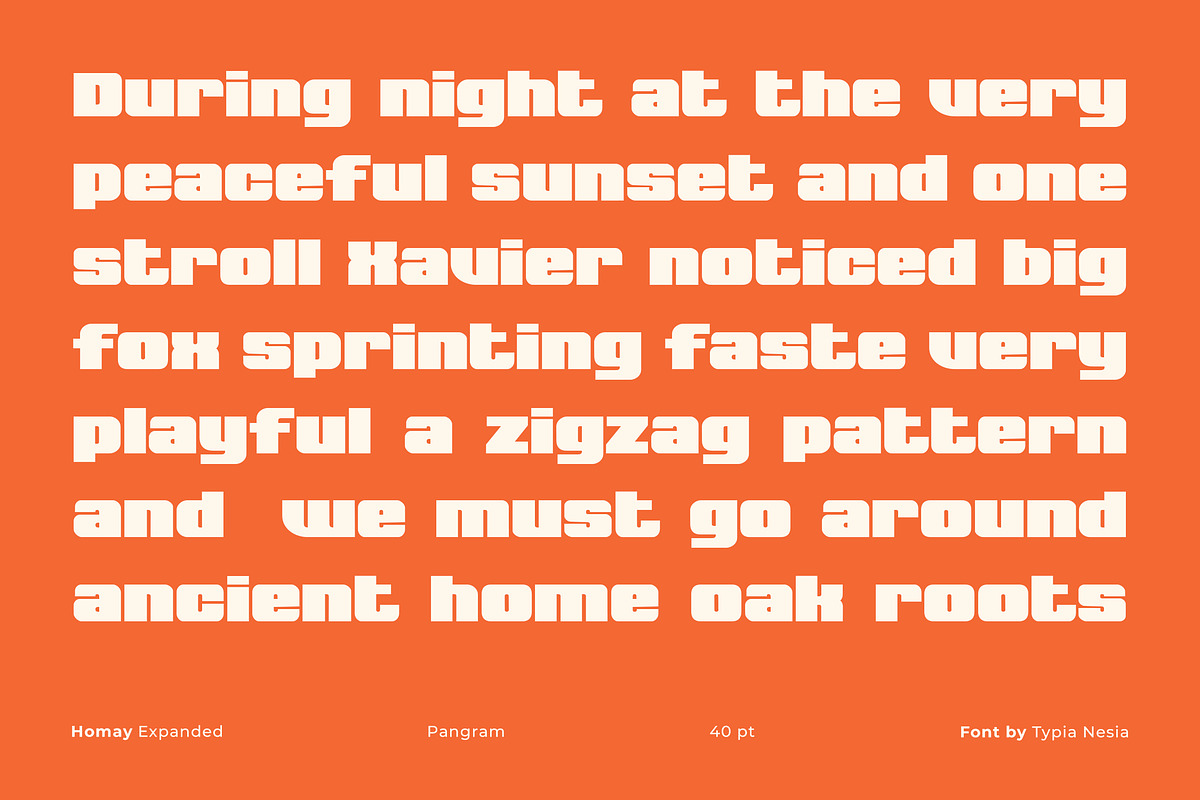 Homay - Bold Modern Expanded Retro, a Sans Serif Font by Typia Nesia (Photo 5 of 11)