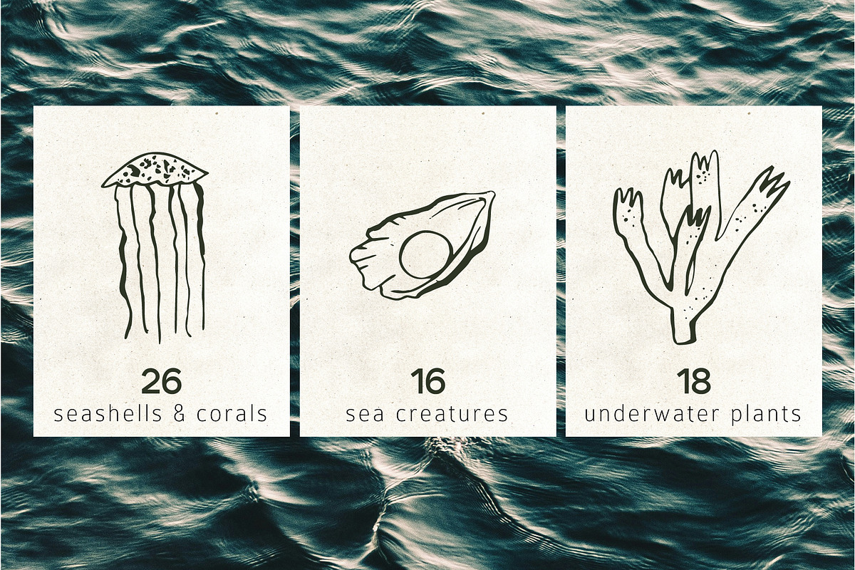 INKED SEALIFE hand drawn vector set, an Animal Illustration by Lena Nikolaeva (Photo 3 of 11)