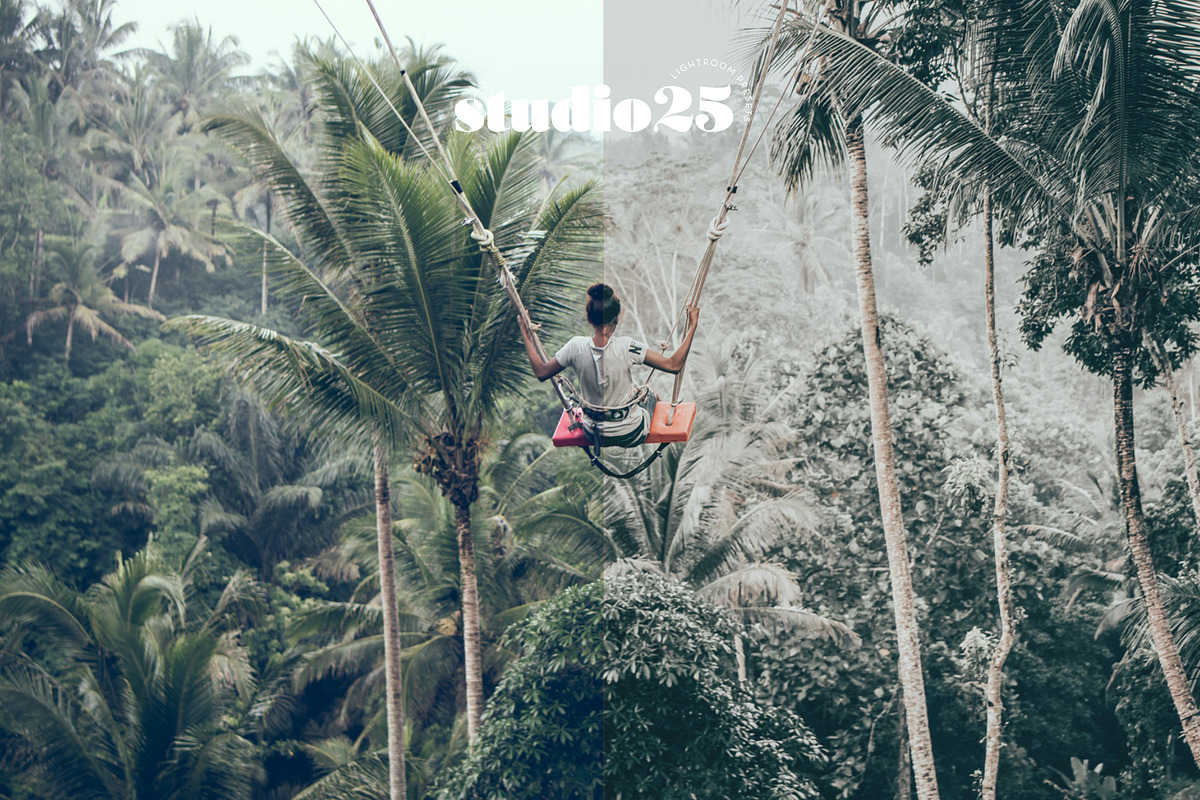 3 tropical-summer presets, a Plug-in Add-On by studio25 (Photo 6 of 7)