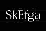 Fregio - Serif Family (10 Fonts), a Serif Font by Dora Typefoundry (Thumbnail 4 of 16)