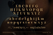 Bager Newton Elegant Serif Font, a Serif Font by Graphicxell (Thumbnail 8 of 8)