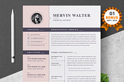 Resume/CV Bundle | 200+ for $29, a Resume Template by ResumeInventor (Thumbnail 72 of 207)