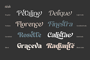Ghadir, Botanical Display Font, a Sans Serif Font by Namela Studio (Thumbnail 5 of 10)