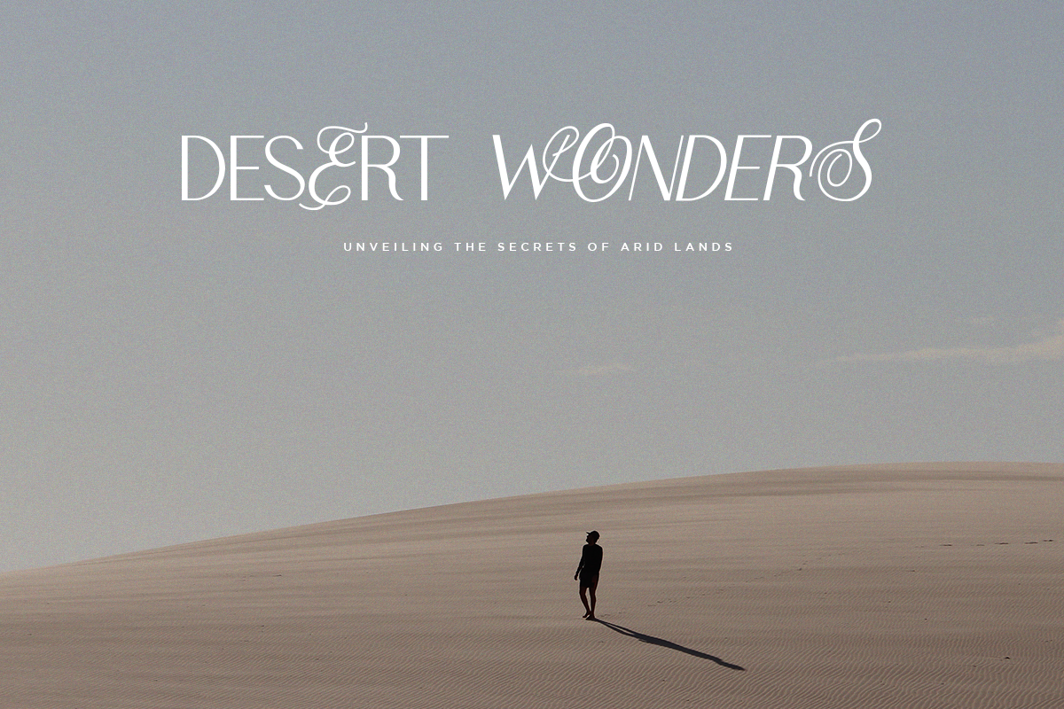 Grand Ophius - Elegant Sans Font, a Sans Serif Font by Say Studio (Photo 10 of 12)