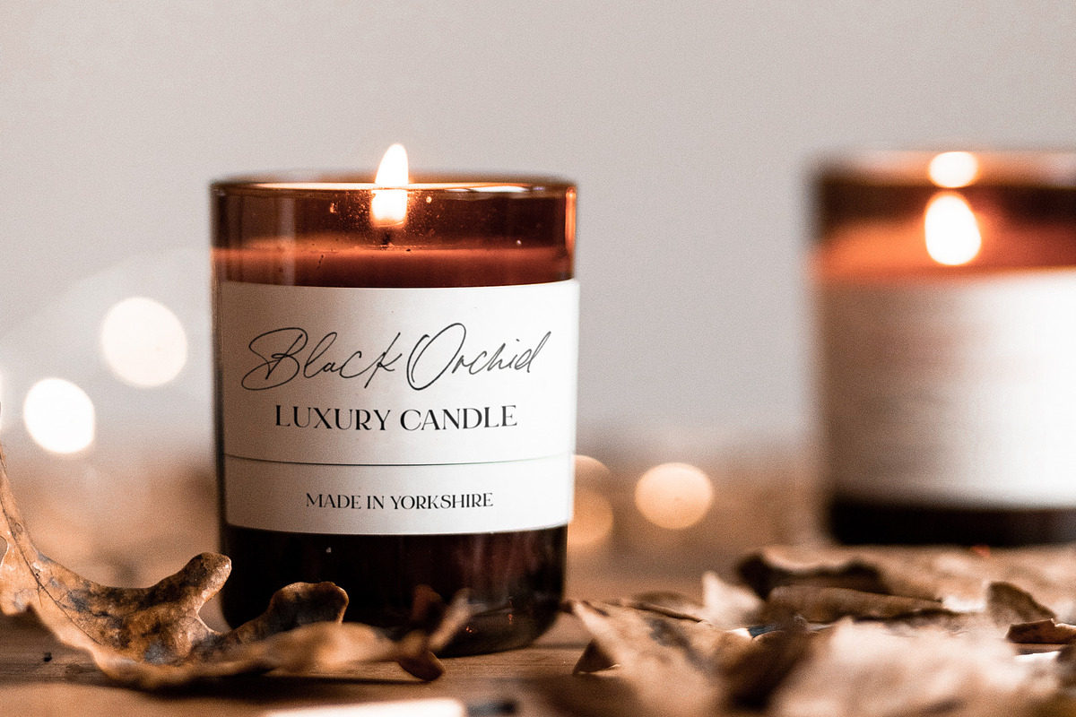 Bon Vivant Collection, a Serif Font by Nicky Laatz (Photo 9 of 44)