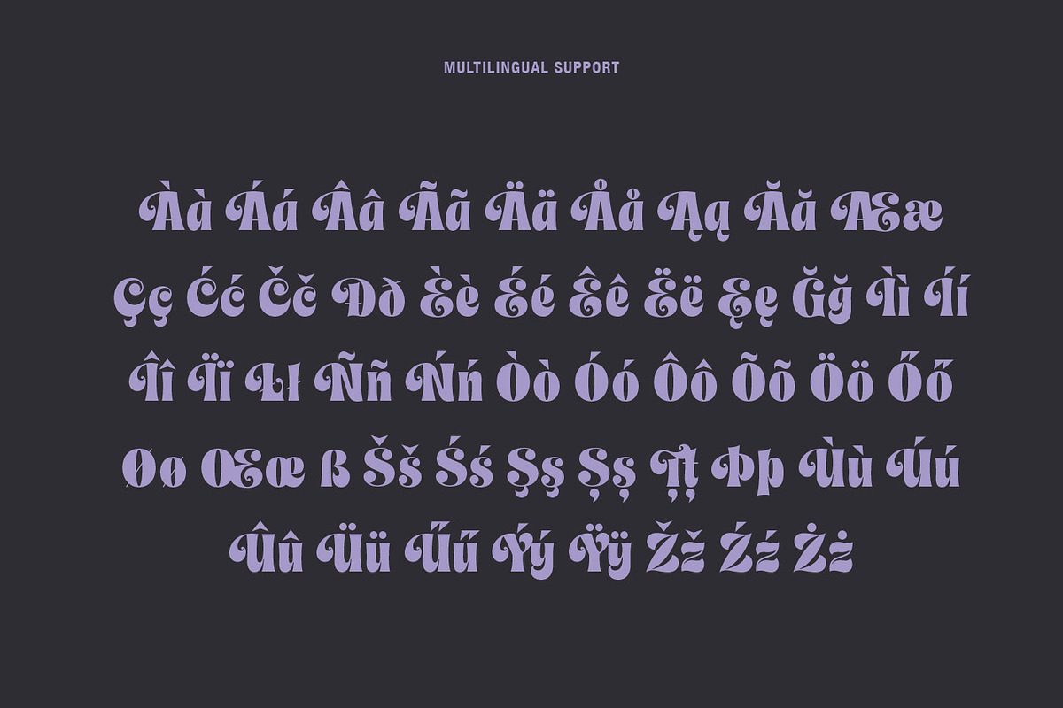 Faery Dream Display, a Serif Font by Andrey Sharonov (Photo 17 of 20)