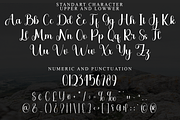 Blink, a Script Font by FreshTypeINK (Thumbnail 4 of 8)