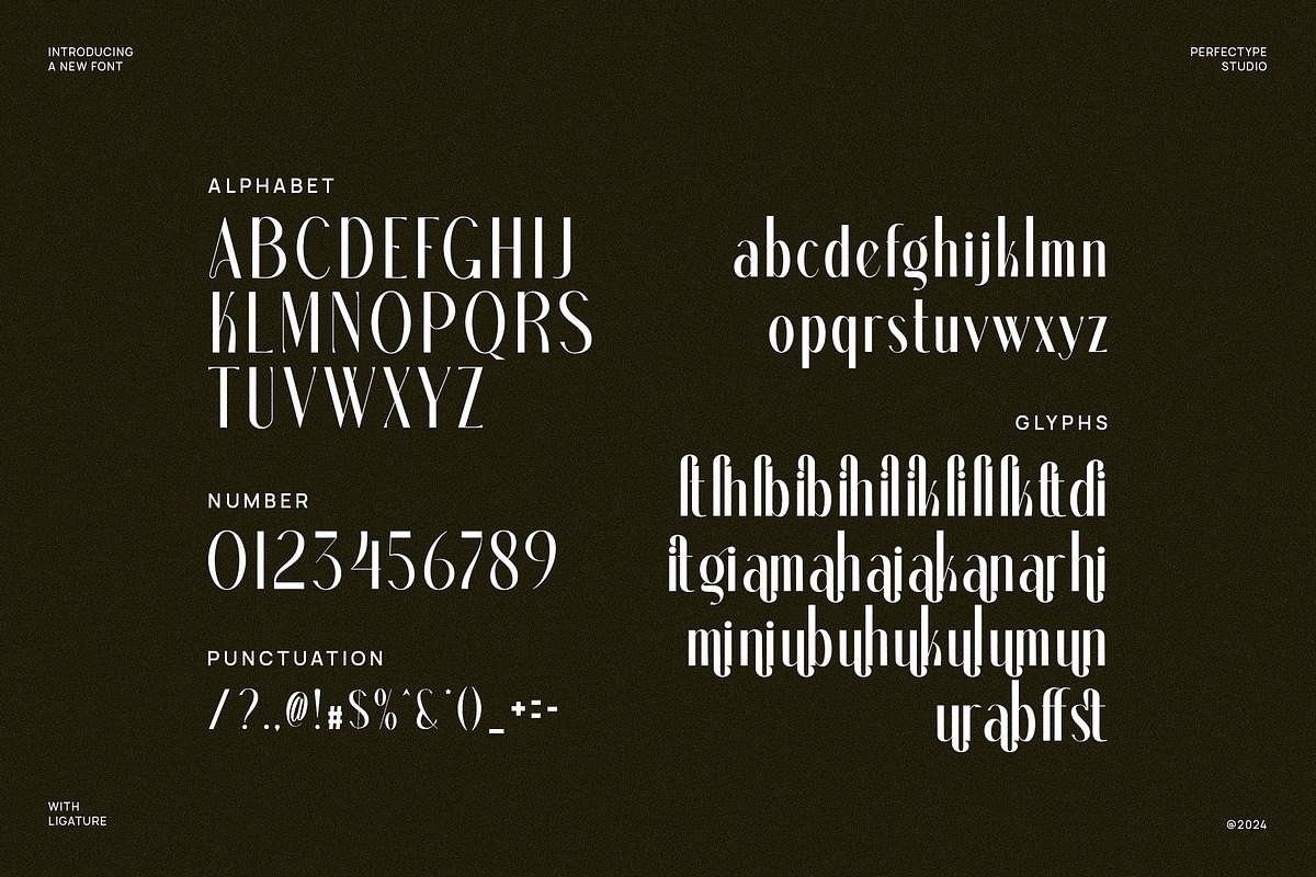 Dalkine Modern Serif Font, a Serif Font by Perfectype (Photo 6 of 6)