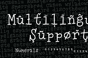 Misspent Youth, a Serif Font by pizzadudedotdk (Thumbnail 11 of 11)