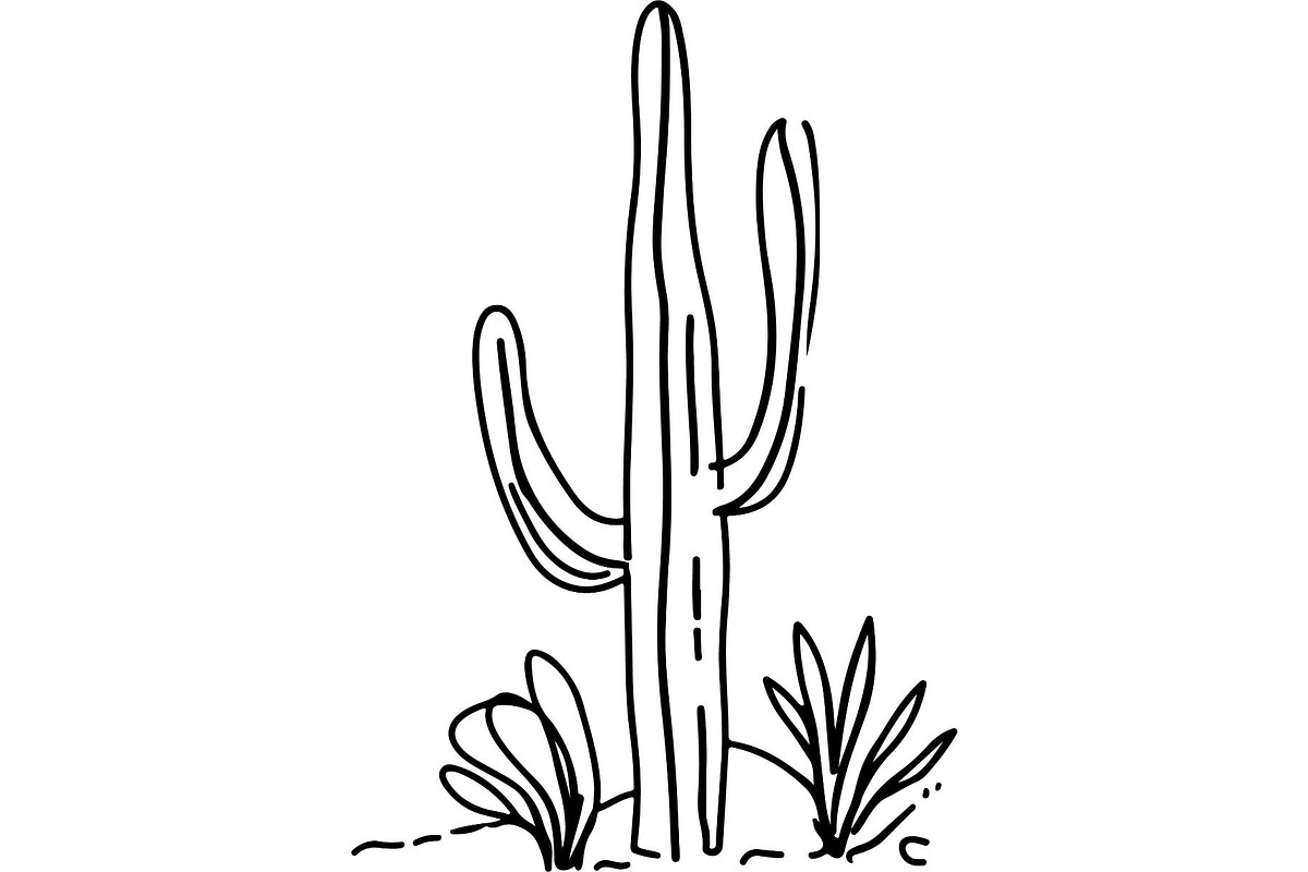 Desert Cactus SVG Bundle, an Object Graphic by Designer_Momina (Photo 1 of 16)
