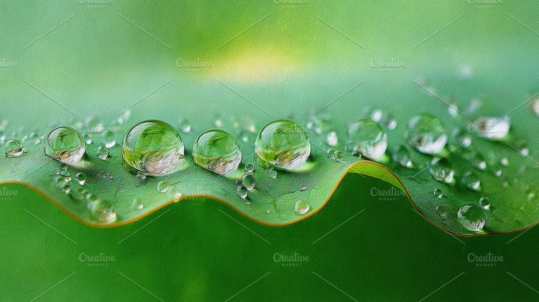 Water droplets on green leaf surface, a Photo by Beautiful things