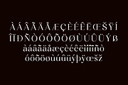 Nostalgia Modern Serif Font, a Serif Font by Storytype Studio (Thumbnail 15 of 17)