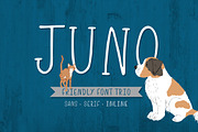 Juno, Friendly Font Trio, a Sans Serif Font by Cottonwood312 (Thumbnail 1 of 12)