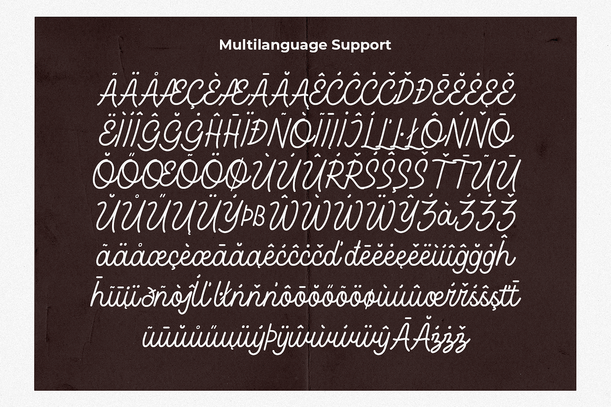 Karlgera - Monoline Script, a Script Font by Haps Space (Photo 9 of 10)
