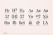 Voxas | 54 Font Serif, a Serif Font by Anthony James (Thumbnail 22 of 22)