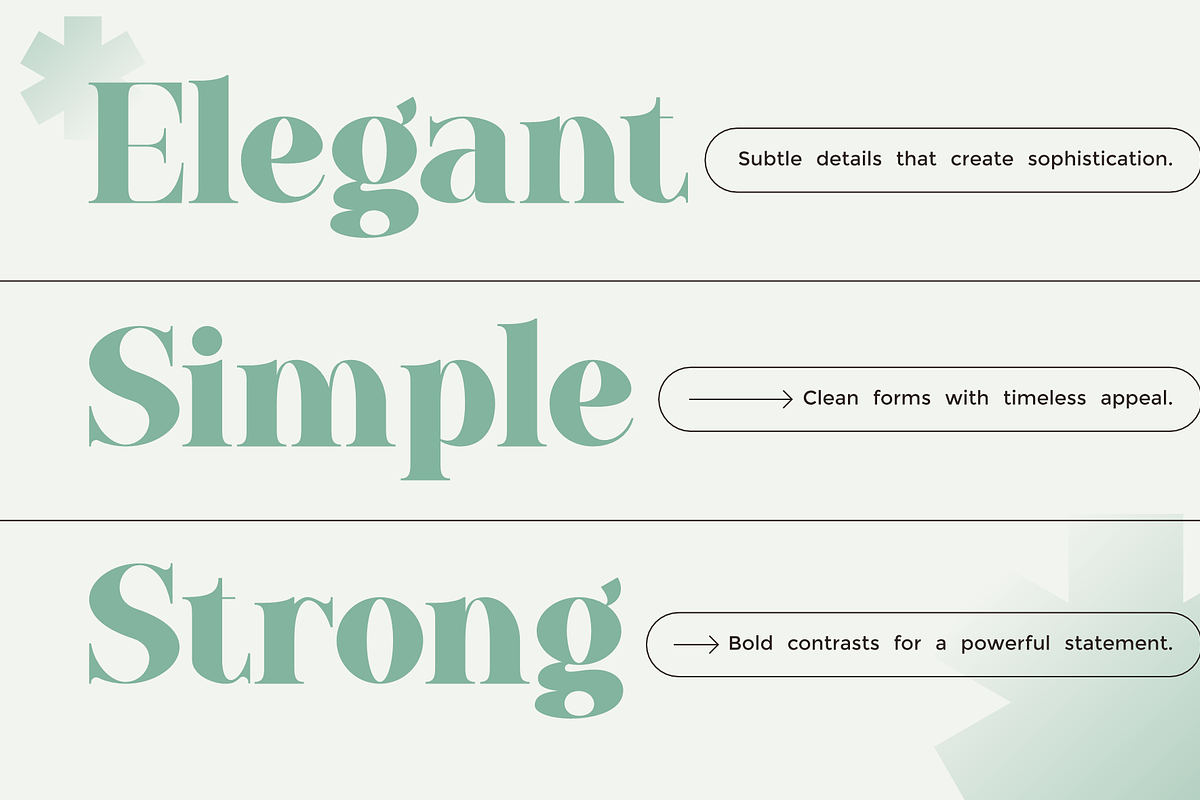 Baflen - Modern Serif Typeface, a Serif Font by MaikoHatta (Photo 5 of 8)