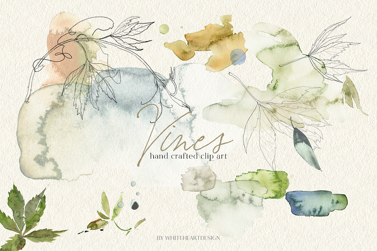 Vines Abstract Watercolor Clipart, a Decorative Illustration by whiteheartdesign (Photo 1 of 9)