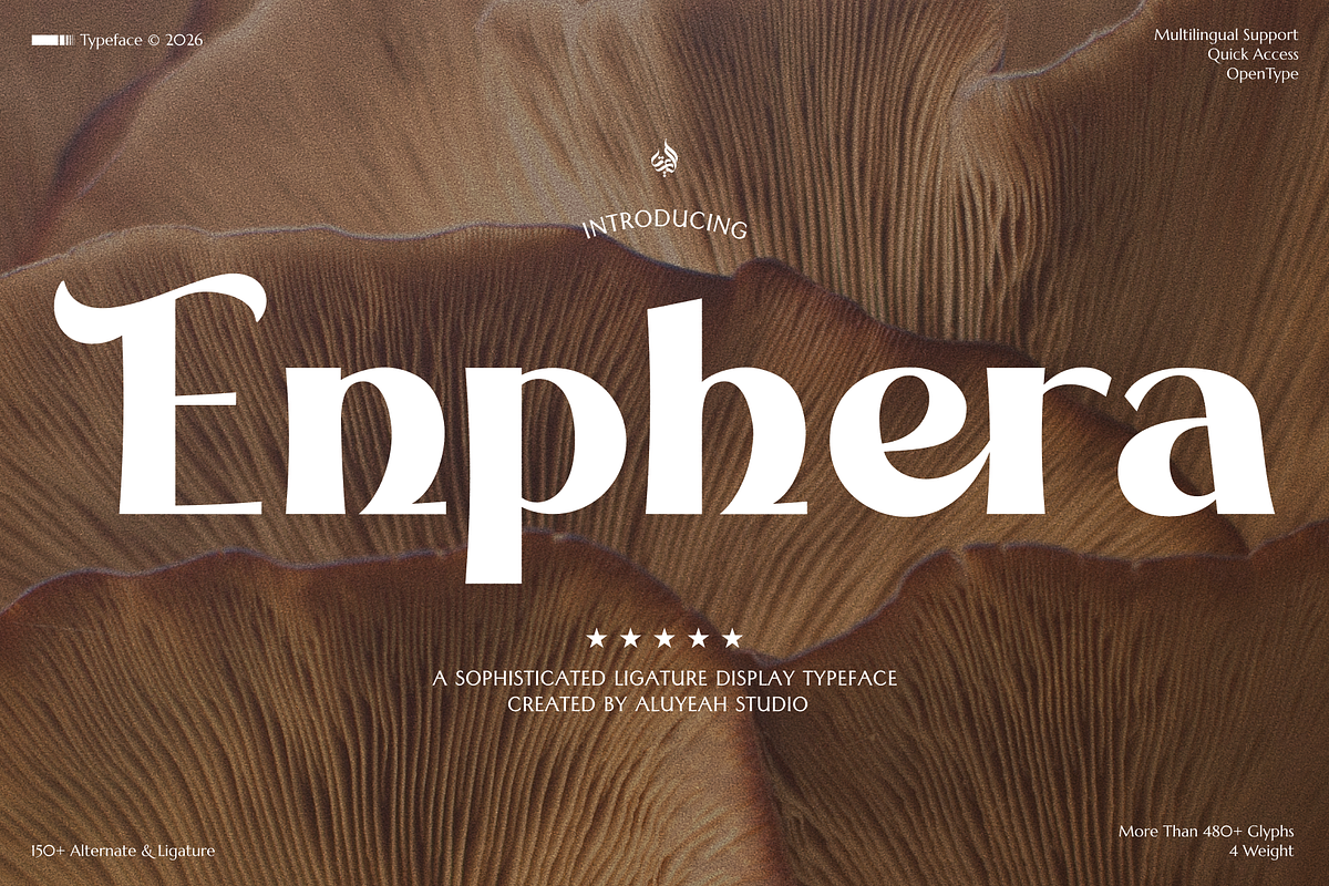 Enphera, a Serif Font by Aluyeah Studio (Photo 1 of 15)